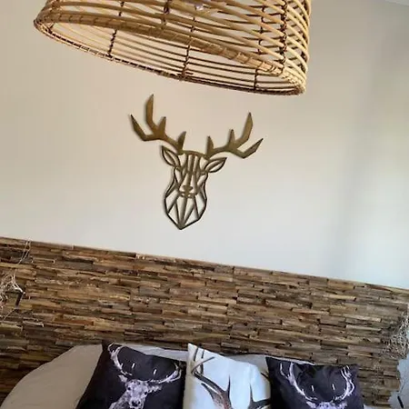 - Maison De Proche *